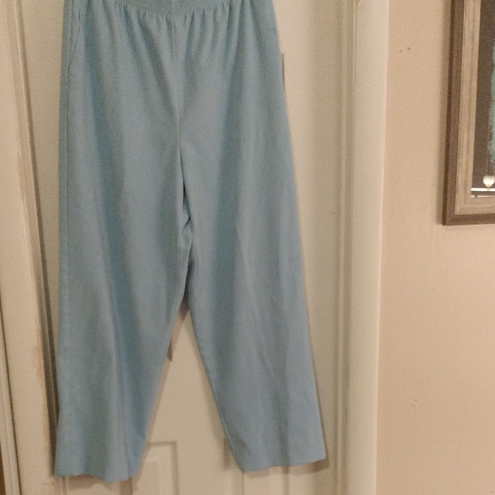 Alfred Dunner Light Blue Wide Leg Pants